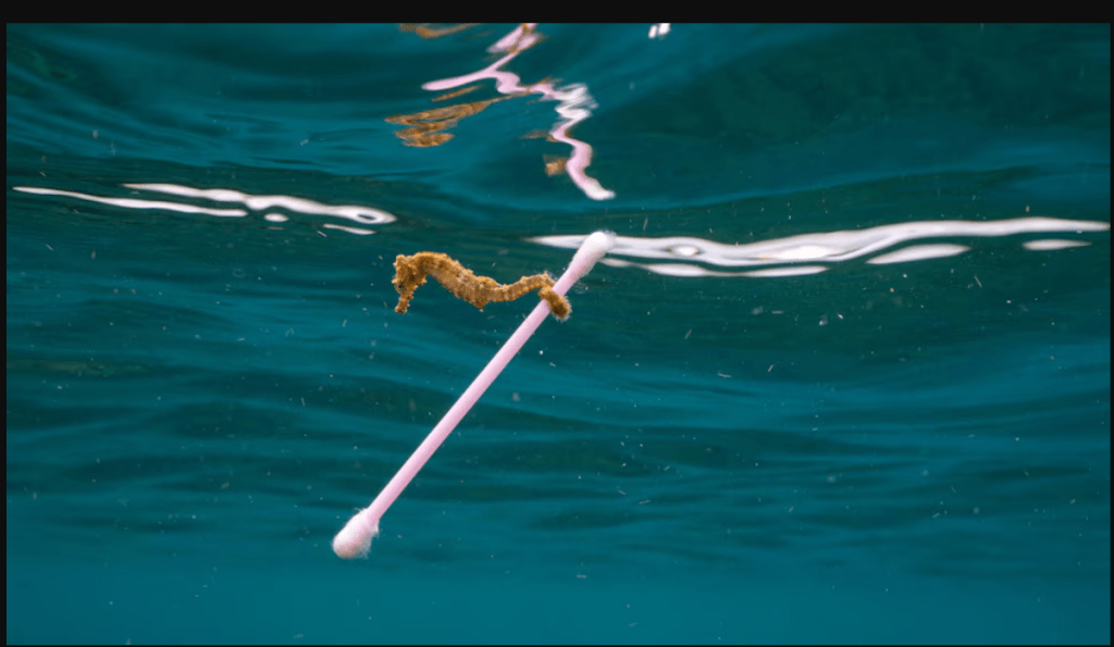 ¿Podemos imaginar un futuro para El&nbsp;Futuro?